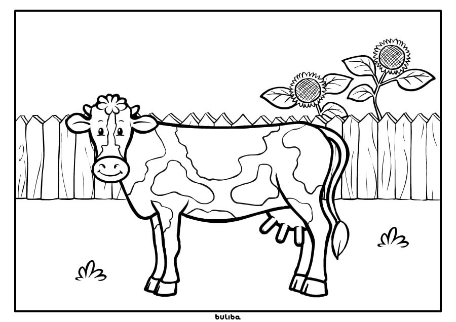 Zwierzęta na wsi. Krowa